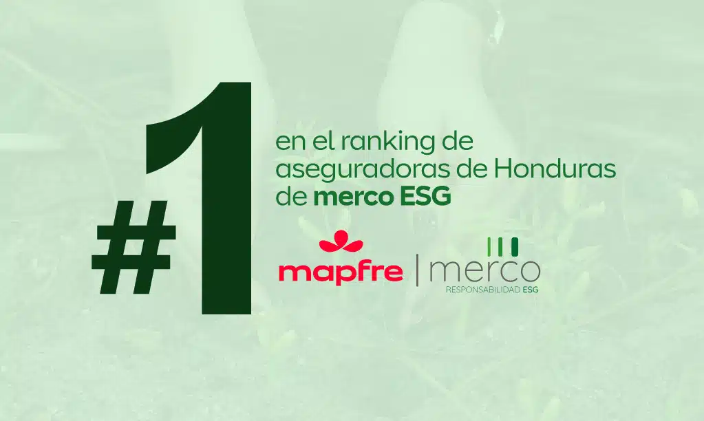 merco-web